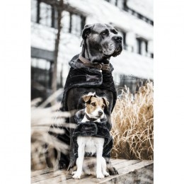 Kentucky Dog Collar Velvet Leather