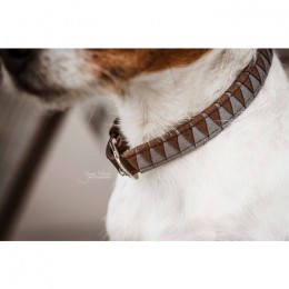 Kentucky Dog Collar Triangle