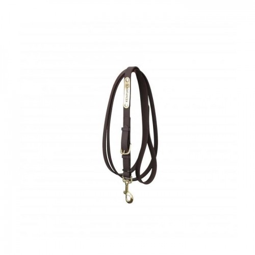 Kentucky Presentation Lead Brown