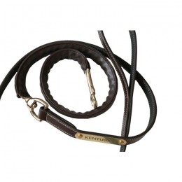 Kentucky Leather Covered Chain Lead