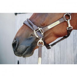 Kentucky Leather Covered Chain Lead