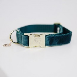 Kentucky Dog Collar Velvet