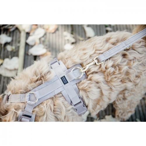 Kentucky Dog Harness Active Velvet