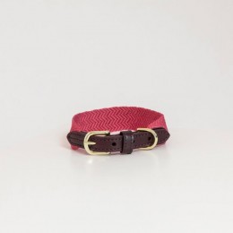 Kentucky Dog collar Jacquard