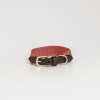 Kentucky Dog collar Jacquard