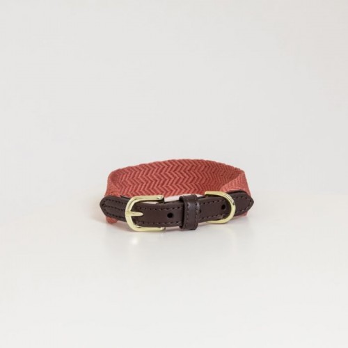 Kentucky Dog collar Jacquard