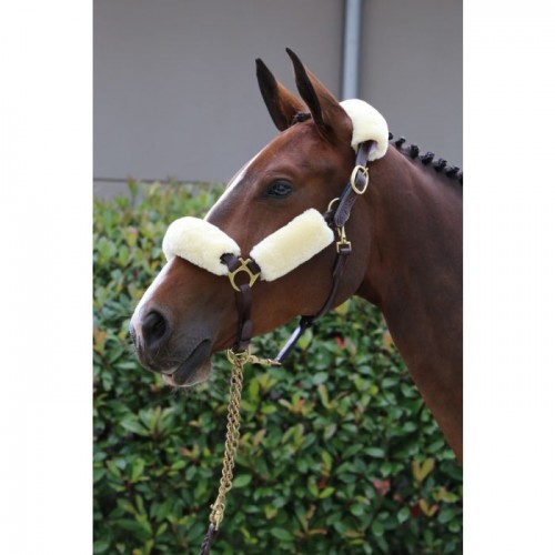 Kentucky Halter Furs
