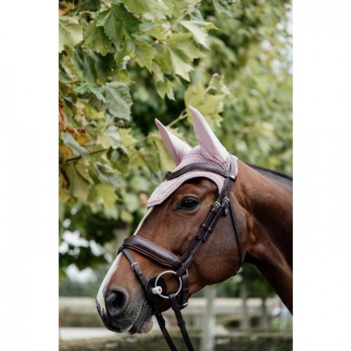 Kentucky Earnet Wellington Velvet