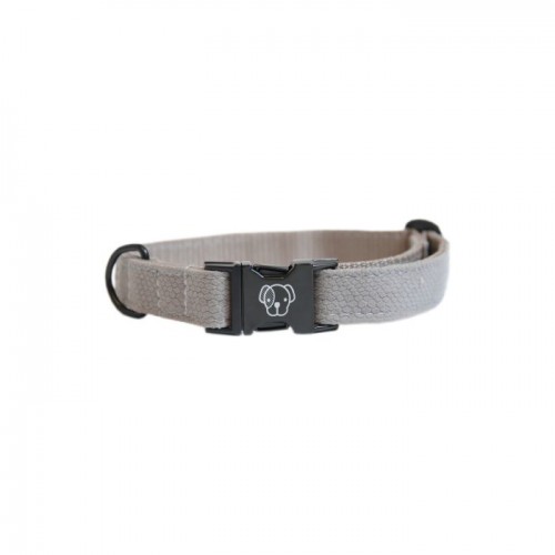 Kentucky Dog Collar Lizard