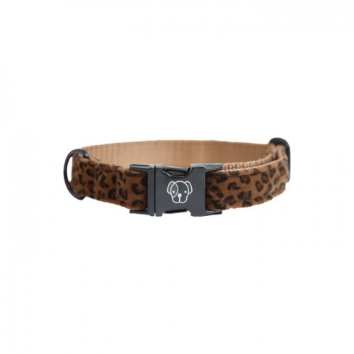 Kentucky Dog Collar Leopard