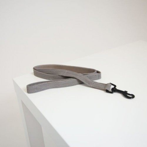 Kentucky Dog Lead Lizard 120 cm