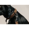 Kentucky Dog Lead Leopard 120 cm