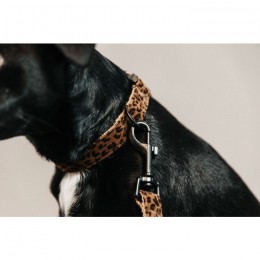 Kentucky Dog Lead Leopard 120 cm