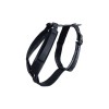 Kentucky Dog Harness Active Velvet