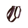 Kentucky Dog Harness Active Velvet