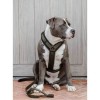 Kentucky Dog Harness Active Teddy Fleece