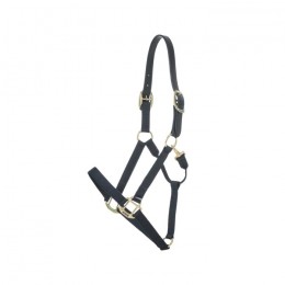 Kentucky Nylon Halter Breakaway