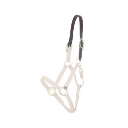 Kentucky Nylon Halter Breakaway Neck Piece