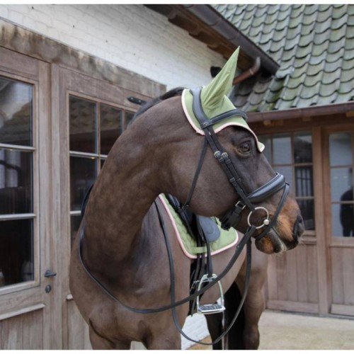 Kentucky Fly Veil Wellington Softshell