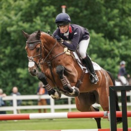 Flair Equine Nasal strips