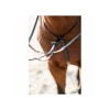 HorseGuard Martingale