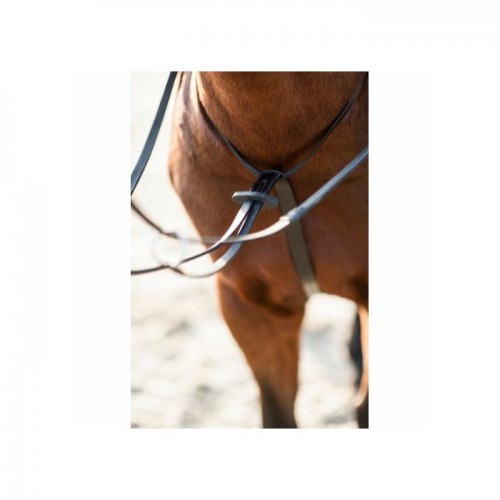 HorseGuard Martingale