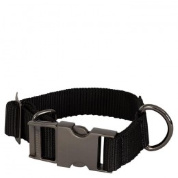 BR FW'24 dog collar
