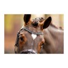 HB Showtime Bridle Great Escape