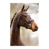 HB Showtime Bridle Great Escape