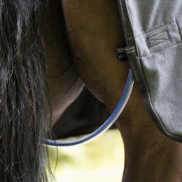 Cavalcade Showrug Elegance