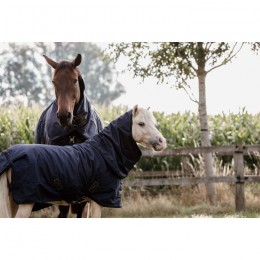 Kentucky Turnout Rug All Weather Waterproof Pro 300g Tiny
