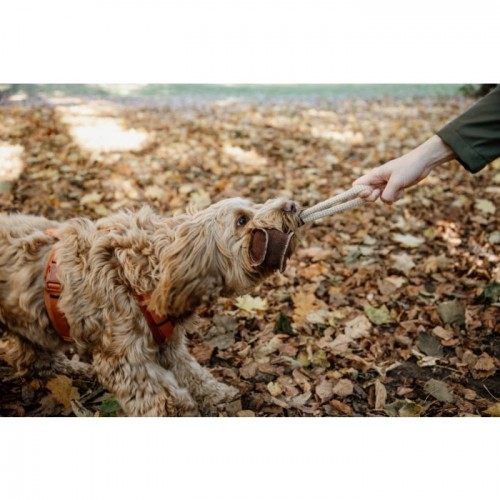 Kentucky Dog Toy Cotton Rope Baseball