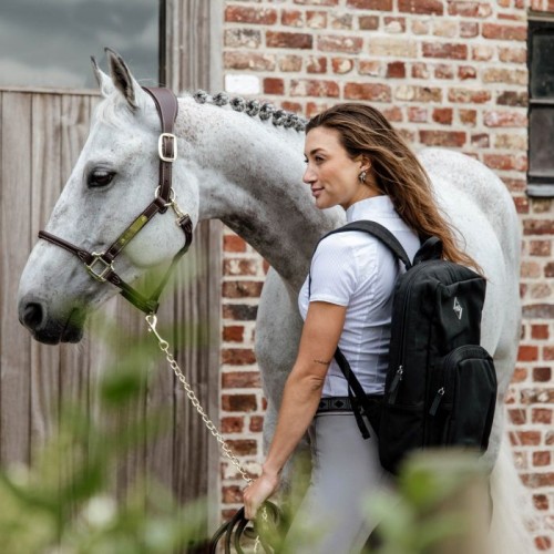 Grooming Deluxe Chestnut Backpack