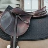 Kentucky Classic Jumping Saddle Pad
