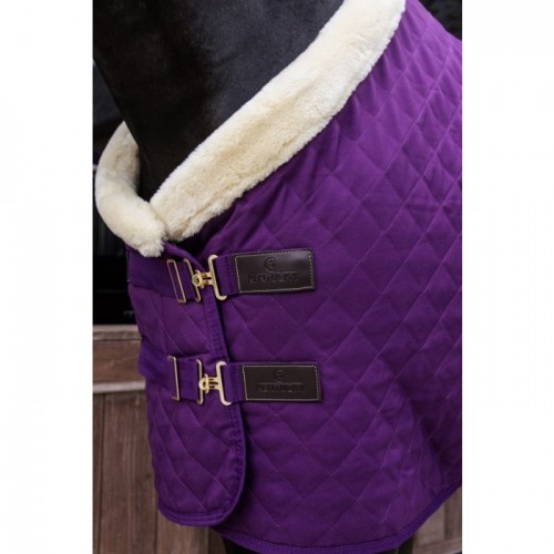 Kentucky Show Rug 160g Royal Purple