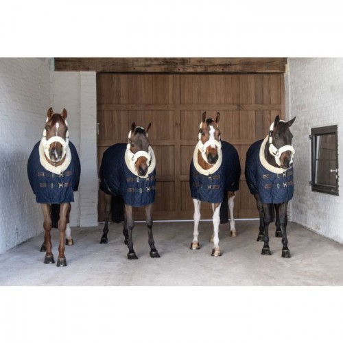 Kentucky Show rug 160g