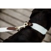 Kentucky Dog collar Jacquard