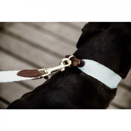 Kentucky Dog collar Jacquard