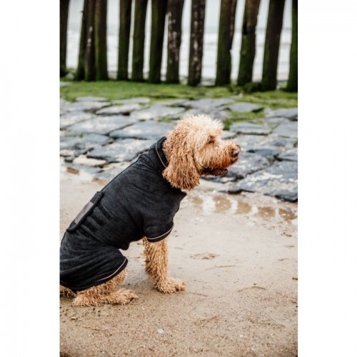 Kentucky Dog Coat Towel