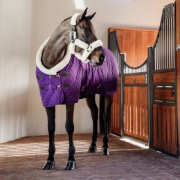 Kentucky Show Rug 160g Royal Purple