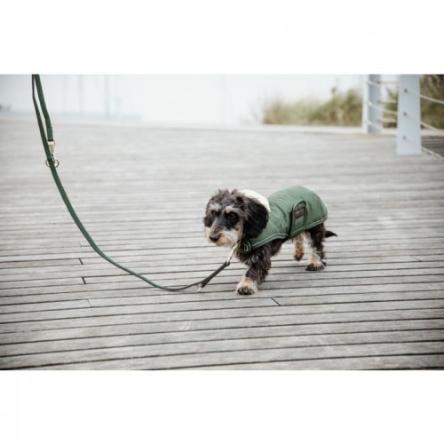 Kentucky Plaited Nylon dog lead 2m