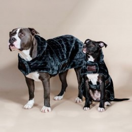 Kentucky Dog Coat Fake Fur