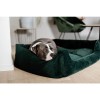 Kentucky Dog Bed Velvet