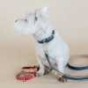 Kentucky Dog Lead Vegan Leather