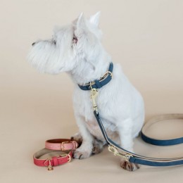Kentucky Dog Collar Soft Vegan Leather