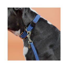 Kentucky Dog Lead Plaited Nylon