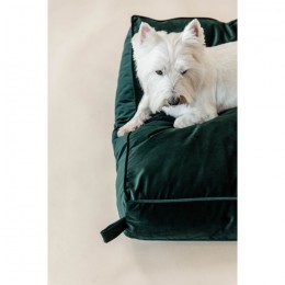 Kentucky Dog Bed Pillow Velvet