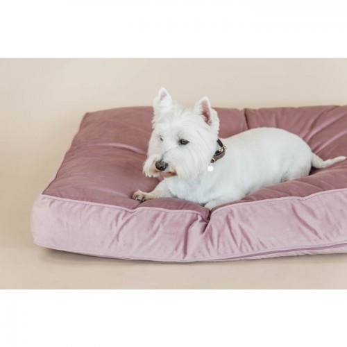 Kentucky Dog Bed Pillow Velvet