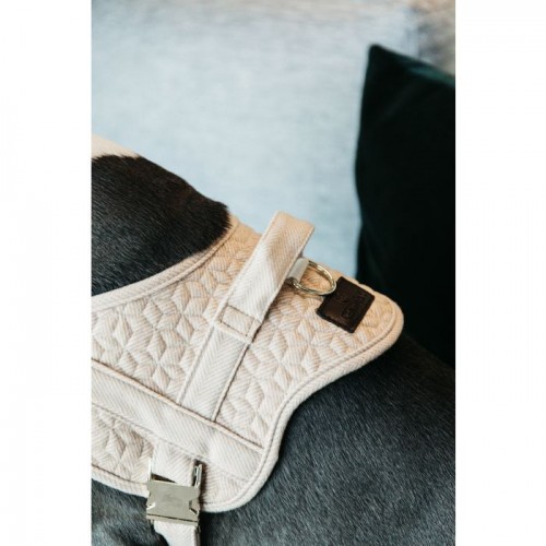 Kentucky Dog Harness Body Safe Wool