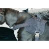 Kentucky Dog Harness Body Safe Wool